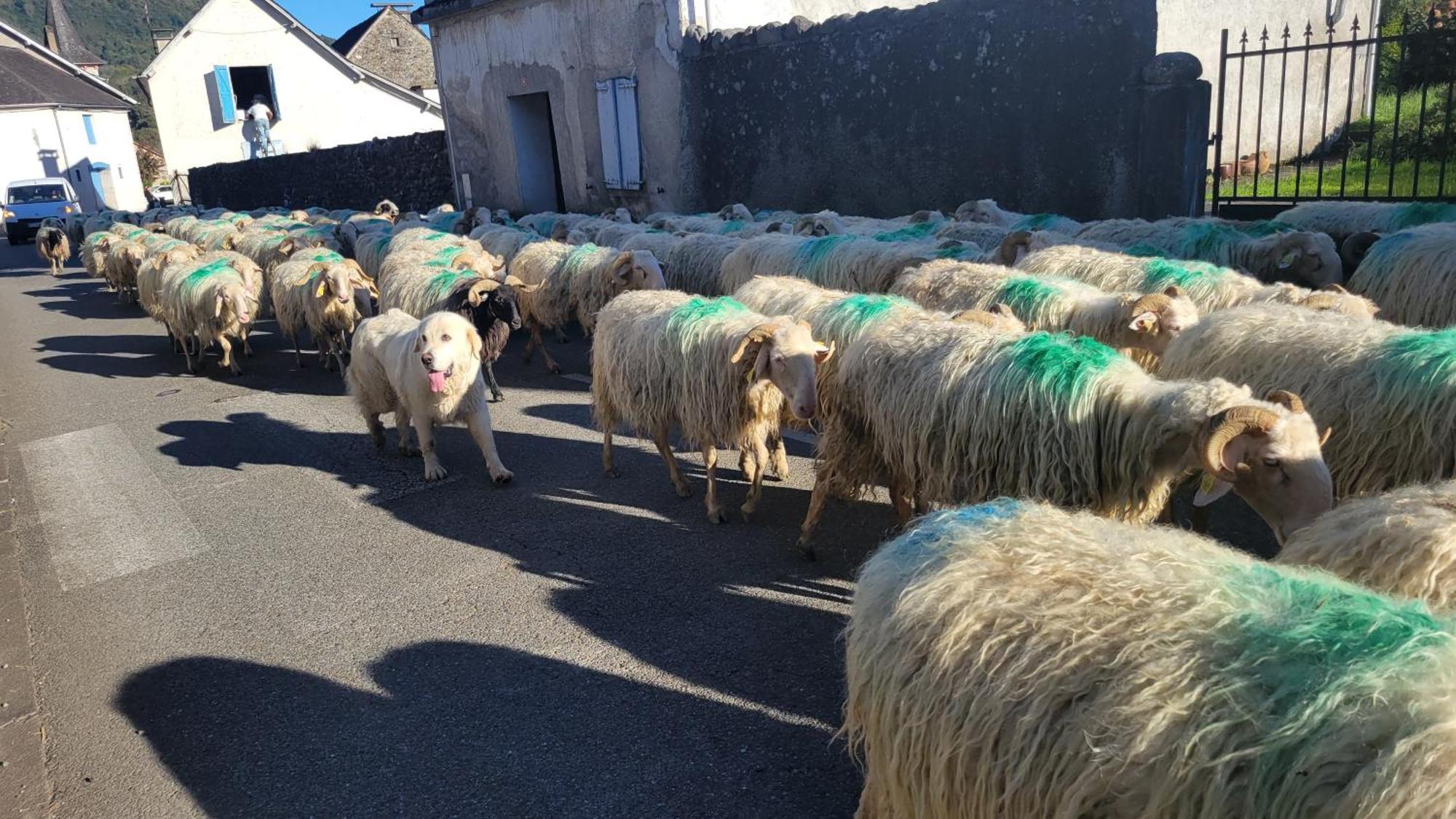 Maison De Campagne Issor エクステリア 写真